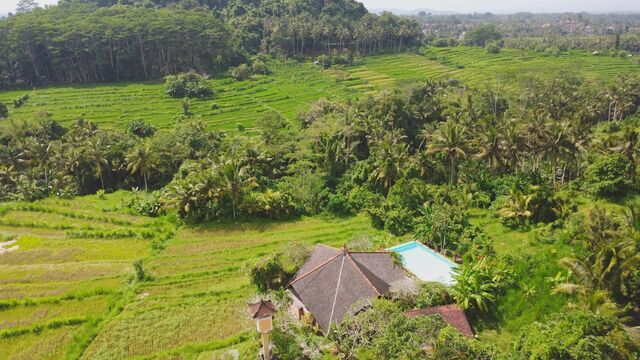 Villa Dandan Bukit seen from above, in the rice terraces